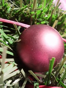 v�no�n� stromek, v�noce